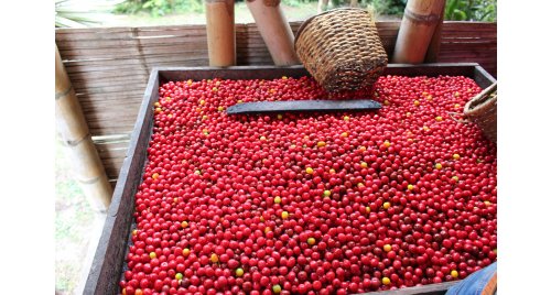 PLAN  ENTRETENIMIENTO