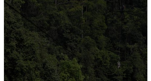 Canopy