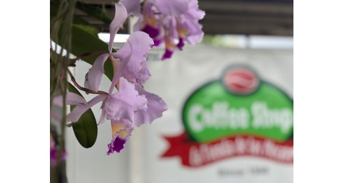 Coffee Tour Coffee Shop La Tienda de los Mecatos 