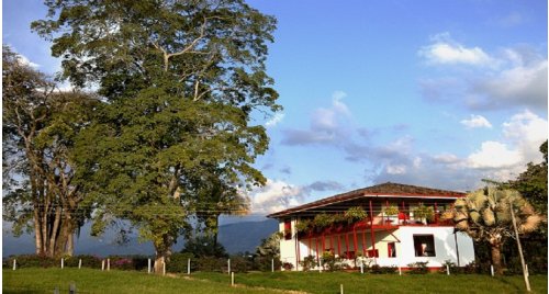 Quiere ser Caficultor por 1 dia? Pasaporte Cafetero, cultura, paisaje y experiencia